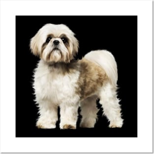 Cute Shih Tzu, Dog Lover Posters and Art